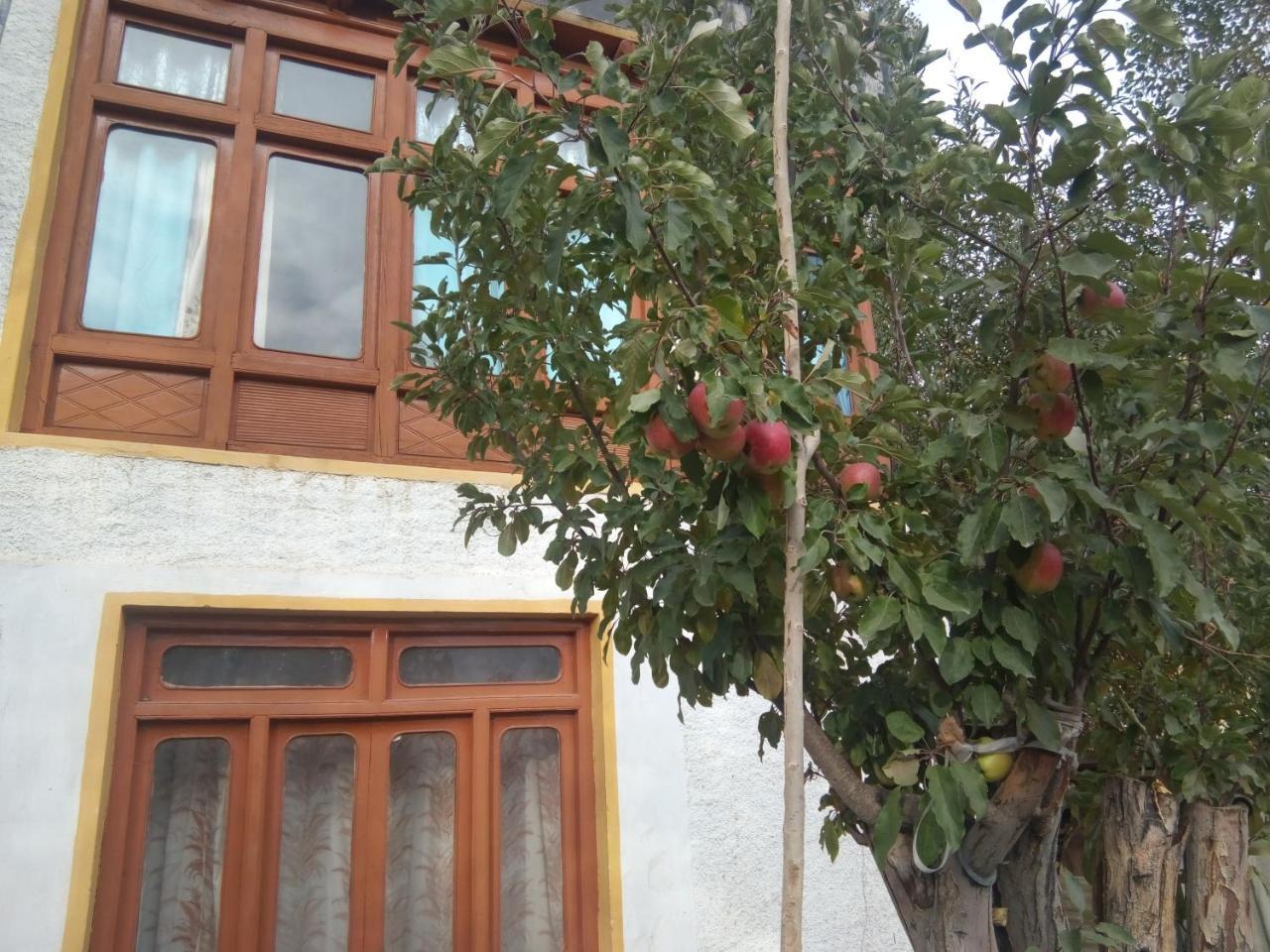 Achina Hotel Leh Exterior foto